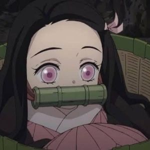 Meet your Posher, Jacinta